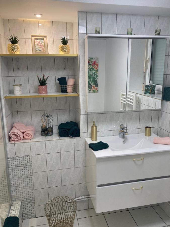 Le Tout Joli Nid Beaunois, Studio Plein Centre Parking 본느 외부 사진